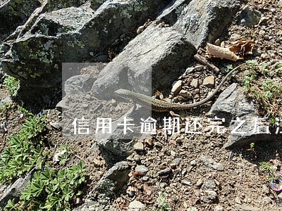 信用卡逾期还完之后注销卡 信用卡逾期还完之后注销卡