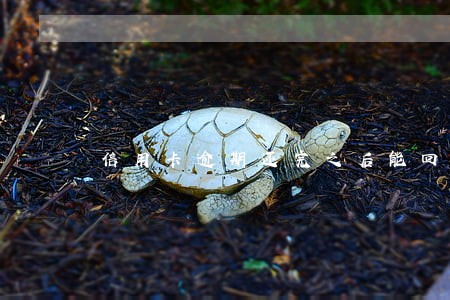 信用卡逾期还完之后能回复征信 信用卡逾期还完之后能回复征信