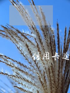 信用卡逾期还完之后还能用么