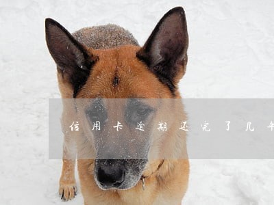 信用卡逾期还完了几年后可以再办 信用卡逾期还完了几年后可以再办
