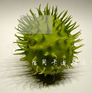 信用卡逾期还完了可以买房子吗