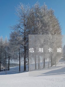 信用卡逾期还完了可以激活码 信用卡逾期还完了可以激活码