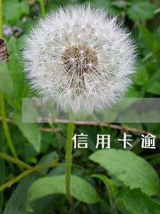 信用卡逾期还完了多久可以办