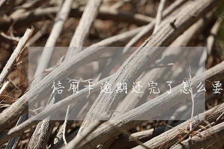 信用卡逾期还完了怎么要回滞纳金 信用卡逾期还完了怎么要回滞纳金