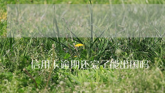 信用卡逾期还完了能出国吗 信用卡逾期还完了能出国吗