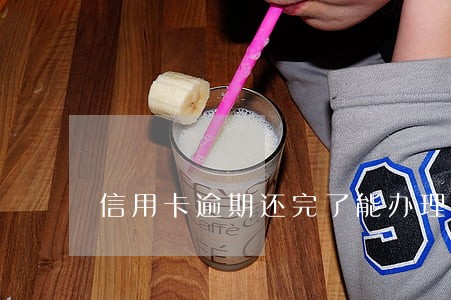 信用卡逾期还完了能办理车贷吗 信用卡逾期还完了能办理车贷吗