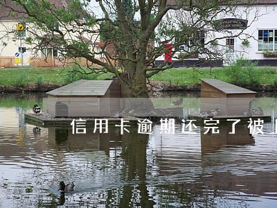 信用卡逾期还完了被上诉了 信用卡逾期还完了被上诉了