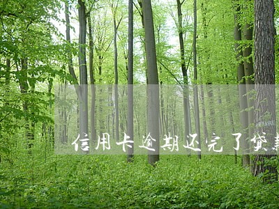 信用卡逾期还完了贷款 信用卡逾期还完了贷款