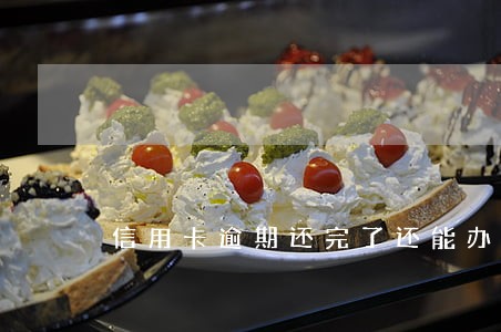 信用卡逾期还完了还能办卡吗