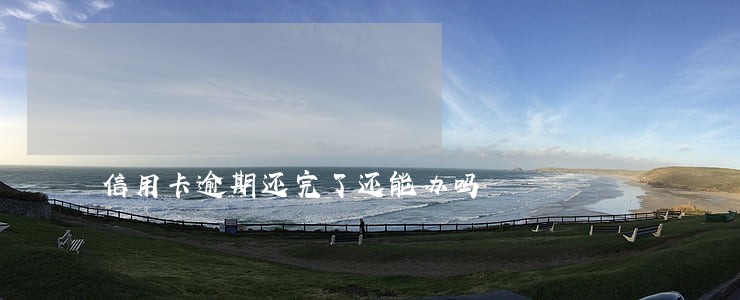 信用卡逾期还完了还能办吗 信用卡逾期还完了还能办吗