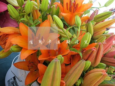信用卡逾期还完了还要起诉我 信用卡逾期还完了还要起诉我