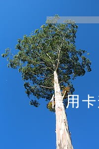 信用卡逾期还完以后征信 信用卡逾期还完以后征信