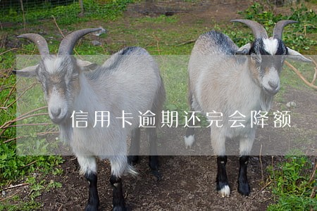 信用卡逾期还完会降额
