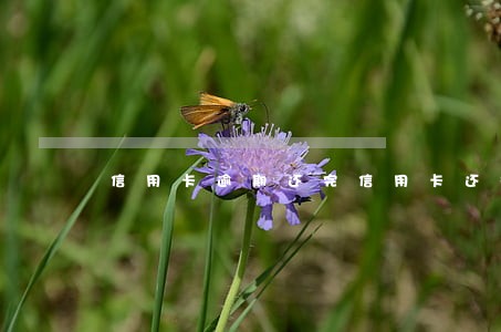 信用卡逾期还完信用卡还能用吗 信用卡逾期还完信用卡还能用吗