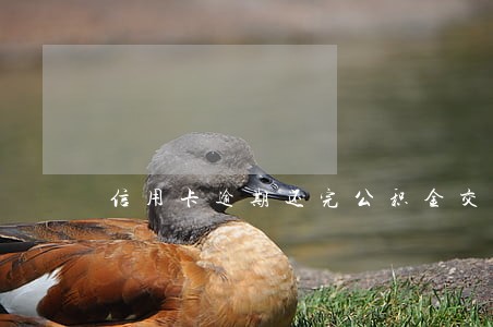 信用卡逾期还完公积金交不上