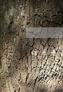 信用卡逾期还完卡片状态异常 信用卡逾期还完卡片状态异常