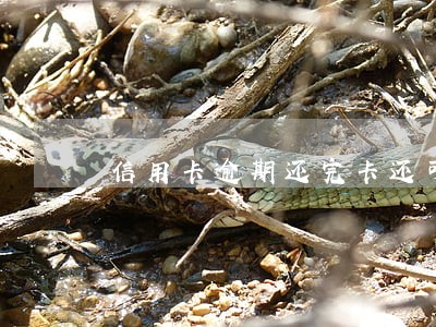 信用卡逾期还完卡还可以用吗 信用卡逾期还完卡还可以用吗
