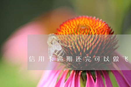 信用卡逾期还完可以做飞机吗 信用卡逾期还完可以做飞机吗