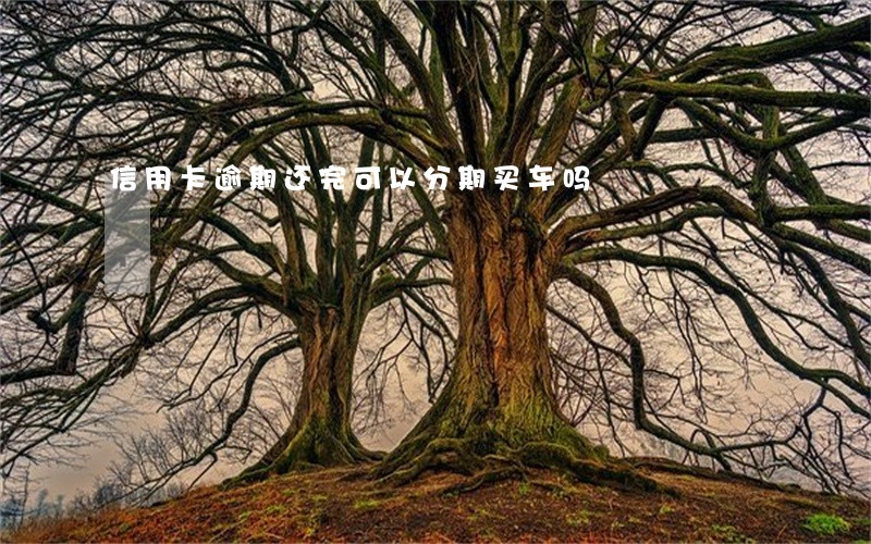 信用卡逾期还完可以分期买车吗 信用卡逾期还完可以分期买车吗