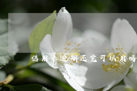 信用卡逾期还完可以用吗 信用卡逾期还完可以用吗