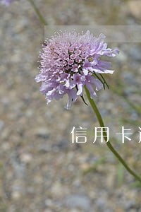 信用卡逾期还完后可以销卡吗 信用卡逾期还完后可以销卡吗