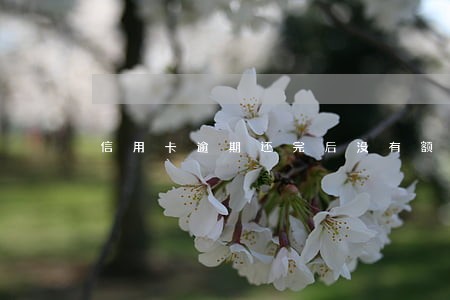 信用卡逾期还完后没有额度了