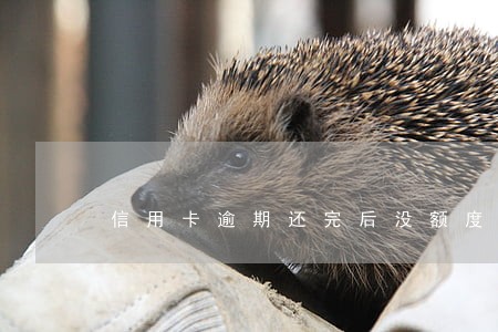 信用卡逾期还完后没额度了 信用卡逾期还完后没额度了