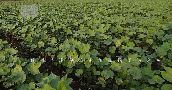 信用卡逾期还完后注销了怎么办