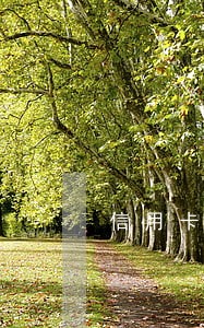信用卡逾期还完后能改名字吗 信用卡逾期还完后能改名字吗