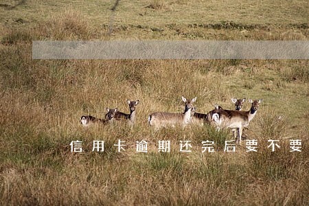 信用卡逾期还完后要不要销卡 信用卡逾期还完后要不要销卡
