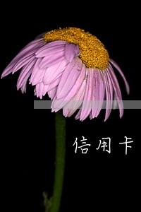 信用卡逾期还完后还能开卡吗 信用卡逾期还完后还能开卡吗