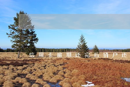信用卡逾期还完后销户还是注销 信用卡逾期还完后销户还是注销