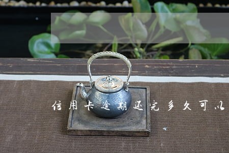 信用卡逾期还完多久可以使用 信用卡逾期还完多久可以使用