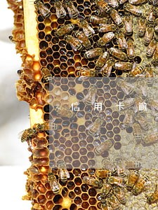 信用卡逾期还完多久可以刷