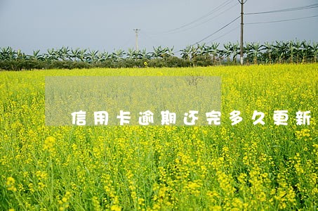 信用卡逾期还完多久更新征信