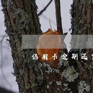 信用卡逾期还完影响吗
