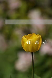 信用卡逾期还完征信 信用卡逾期还完征信