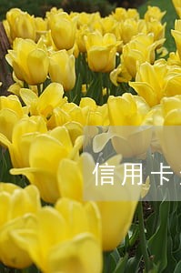 信用卡逾期还完怎么开结清证明 信用卡逾期还完怎么开结清证明