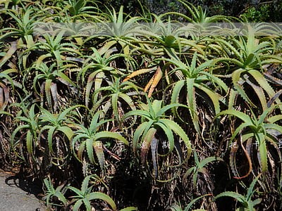 信用卡逾期还完把卡注销了 信用卡逾期还完把卡注销了