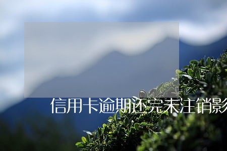 信用卡逾期还完未注销影响征信吗 信用卡逾期还完未注销影响征信吗