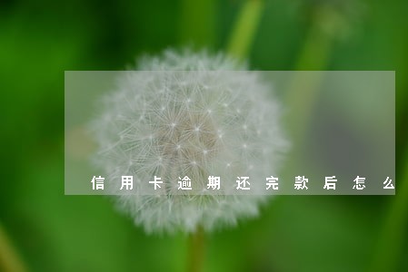 信用卡逾期还完款后怎么使用