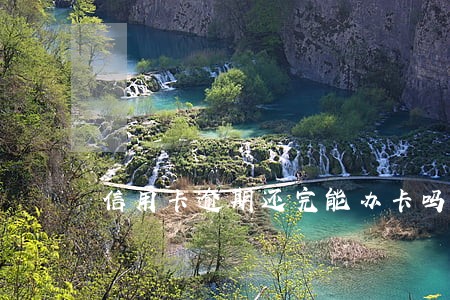 信用卡逾期还完能办卡吗 信用卡逾期还完能办卡吗