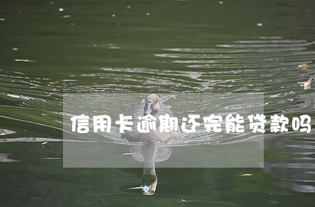 信用卡逾期还完能贷款吗 信用卡逾期还完能贷款吗