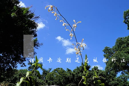 信用卡逾期还完被银行注销了