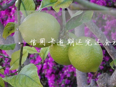 信用卡逾期还完还会被
