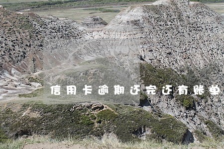 信用卡逾期还完还有账单吗