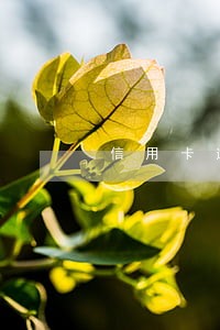 信用卡逾期还完还有额度吗