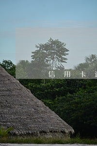 信用卡逾期还完还能使用吗 信用卡逾期还完还能使用吗
