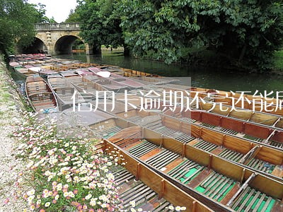 信用卡逾期还完还能刷出来吗