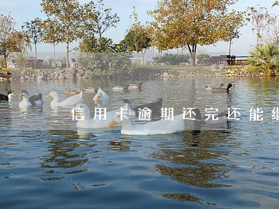 信用卡逾期还完还能继续使用吗